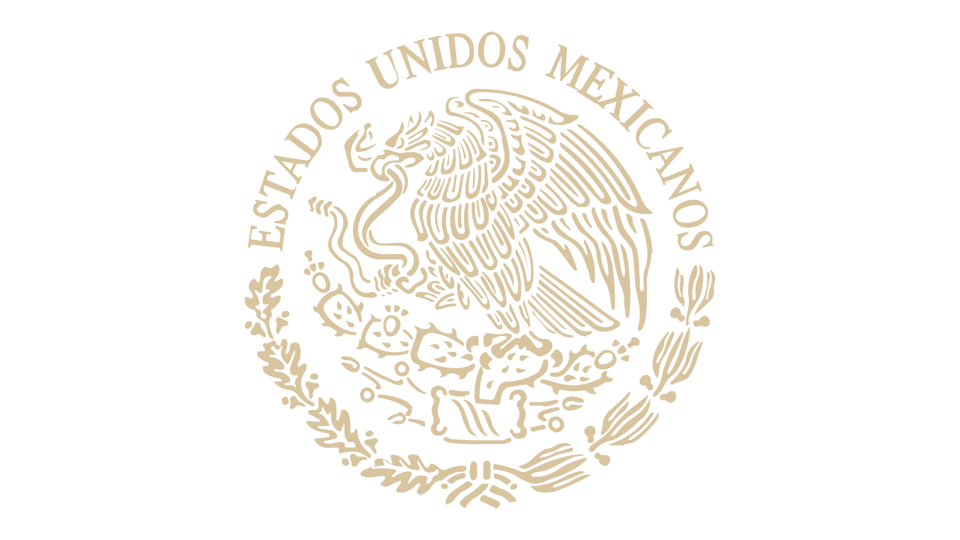 Gobierno-de-Mexico-en-vivo